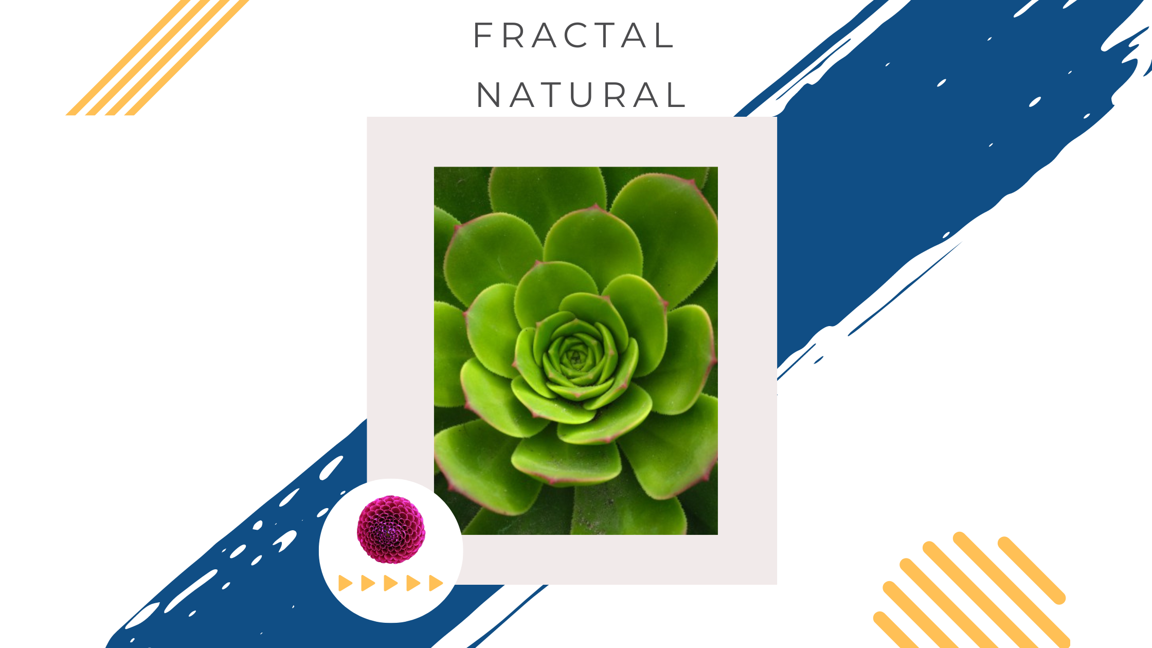 ¿Por qué existen las matemáticas__Fractal Natural