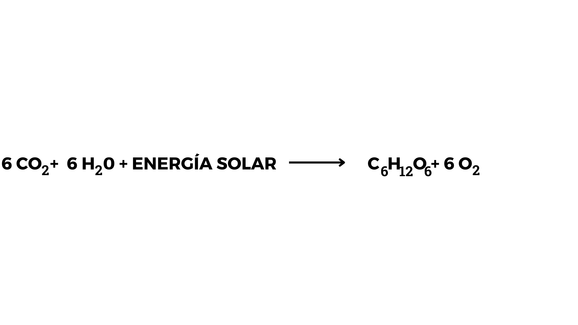 La fotosíntesis, entre energía, reacciones y fases_Formula