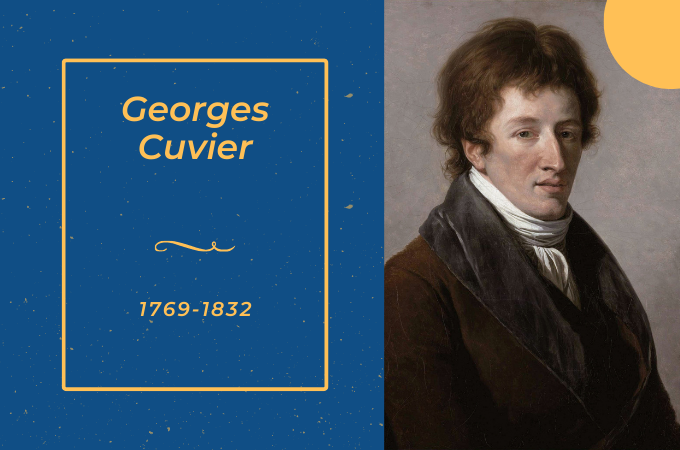Las diferentes teorías de la evolución. ¿Explican los cambios de los seres vivos___Georges Cuvier