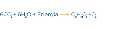 El oxígeno es un elemento químico muy versátil_Formulas 02