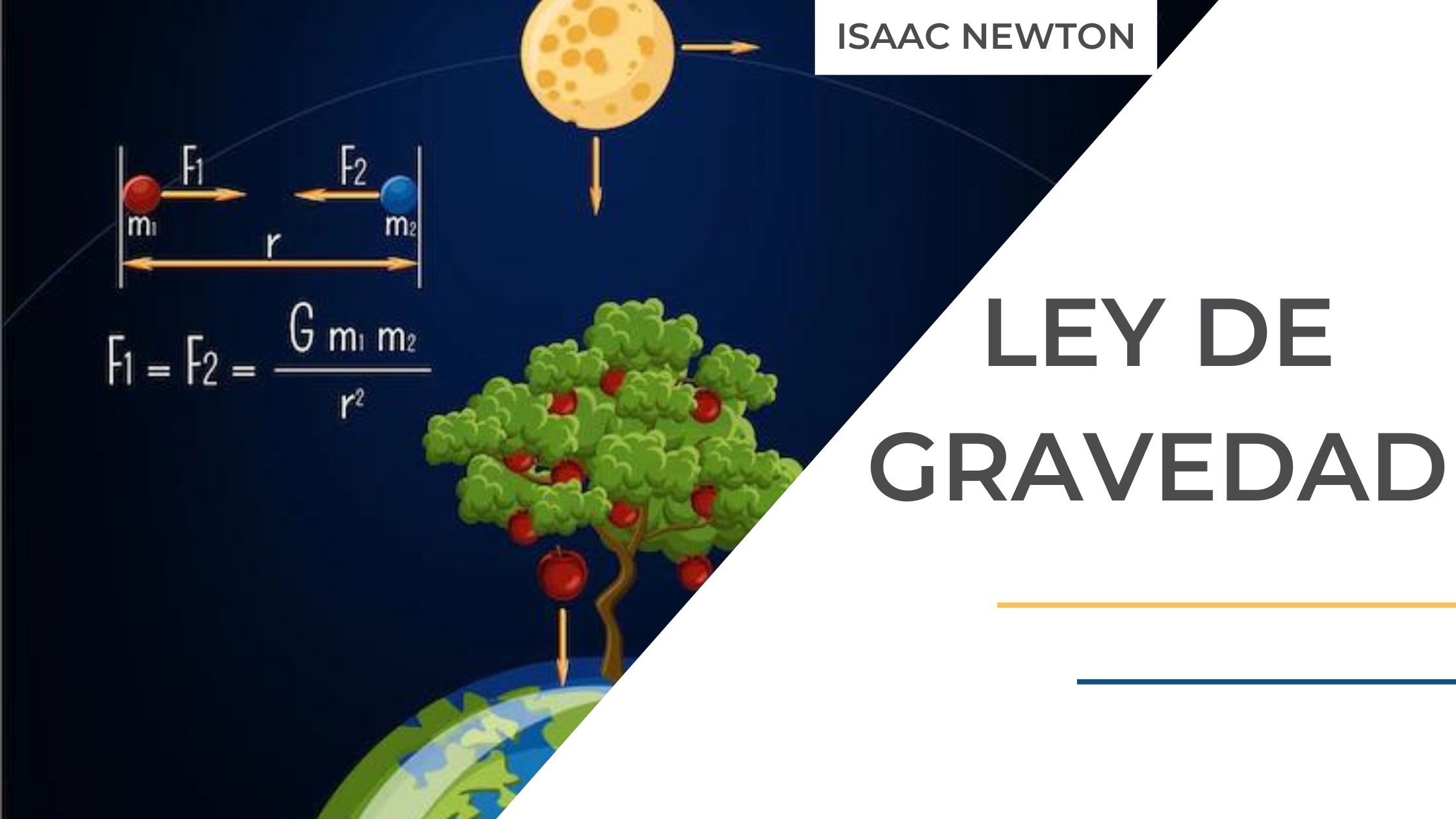 Grandes descubrimientos de la humanidad_ Ley de gravitación Universal_Ley de la gravedad