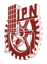 IPN